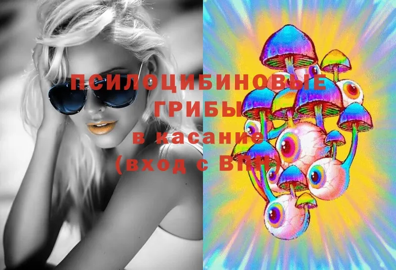 Галлюциногенные грибы Magic Shrooms  Кондрово 